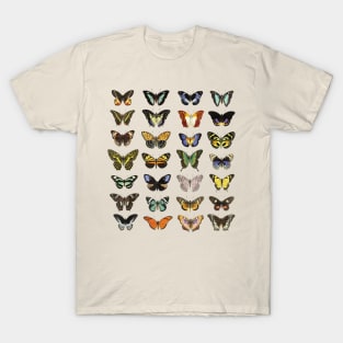 Cottagecore Butterfly And Moth Papillon Vintage Illustration T-Shirt